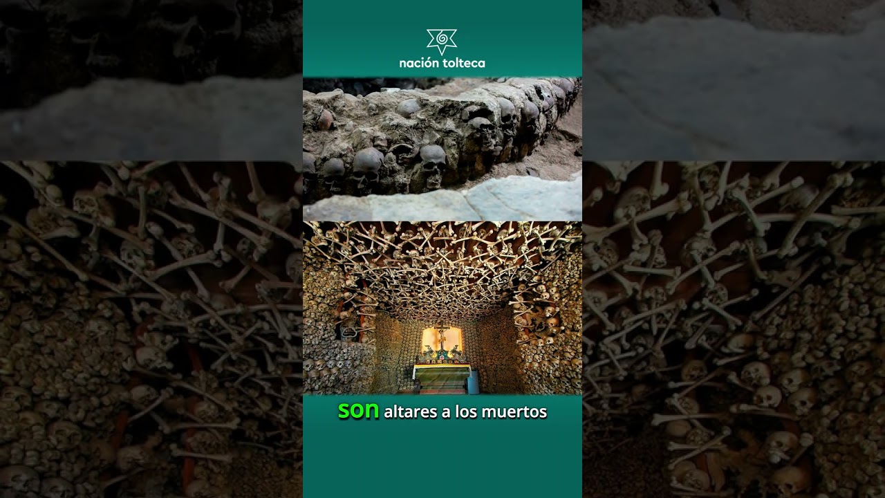 Los antiguos anahuacas no realizaban sacrificios humanos por motivos religiosos. 