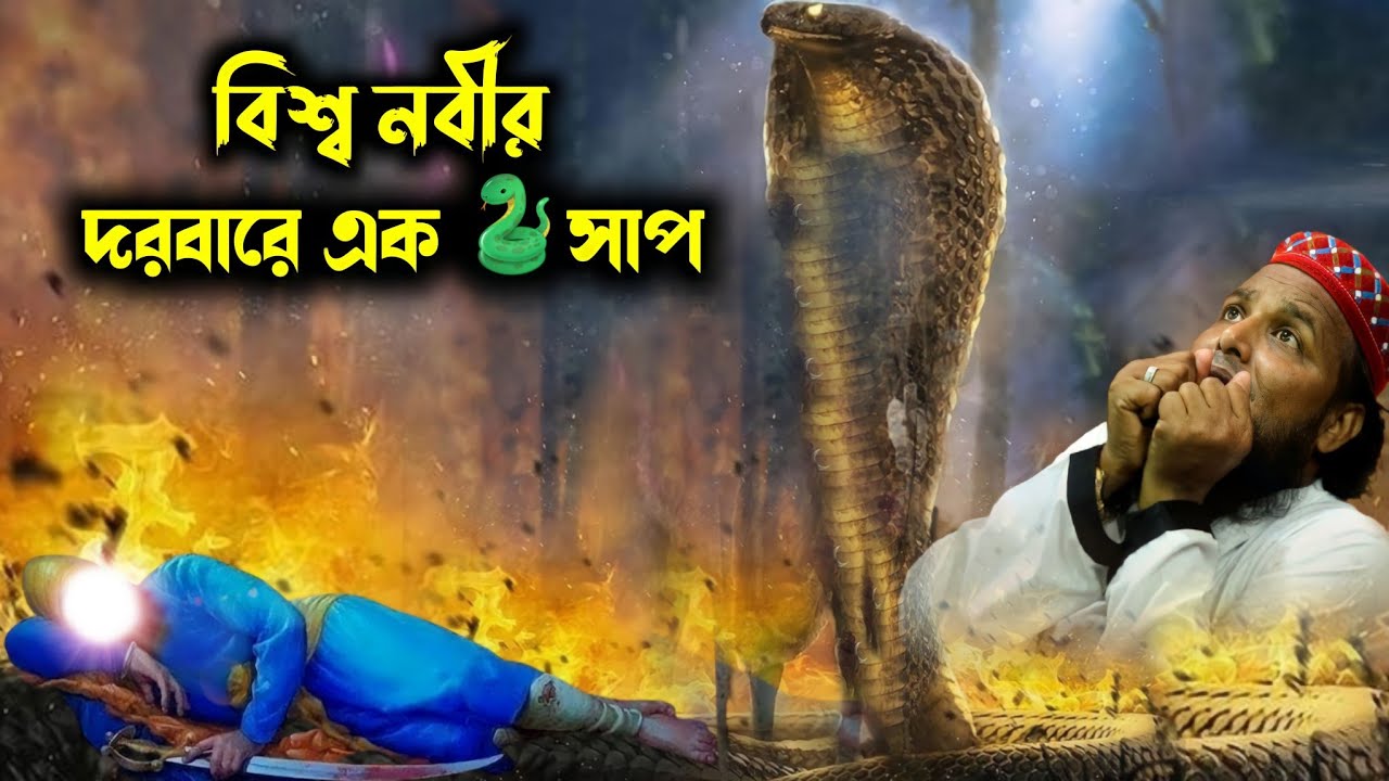 বিশ্ব নবীর দরবারে এক 🐍সাপ┇হাফেজ সাইফুল্লাহ সাহেবের নতুন ওয়াজ মাহফিল┇Hafiz Saifullah Sahiber waz