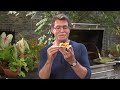 Episode 906: Delicious Eco-Tourism | Rick Bayless "Mexico: One Plate at a Time"