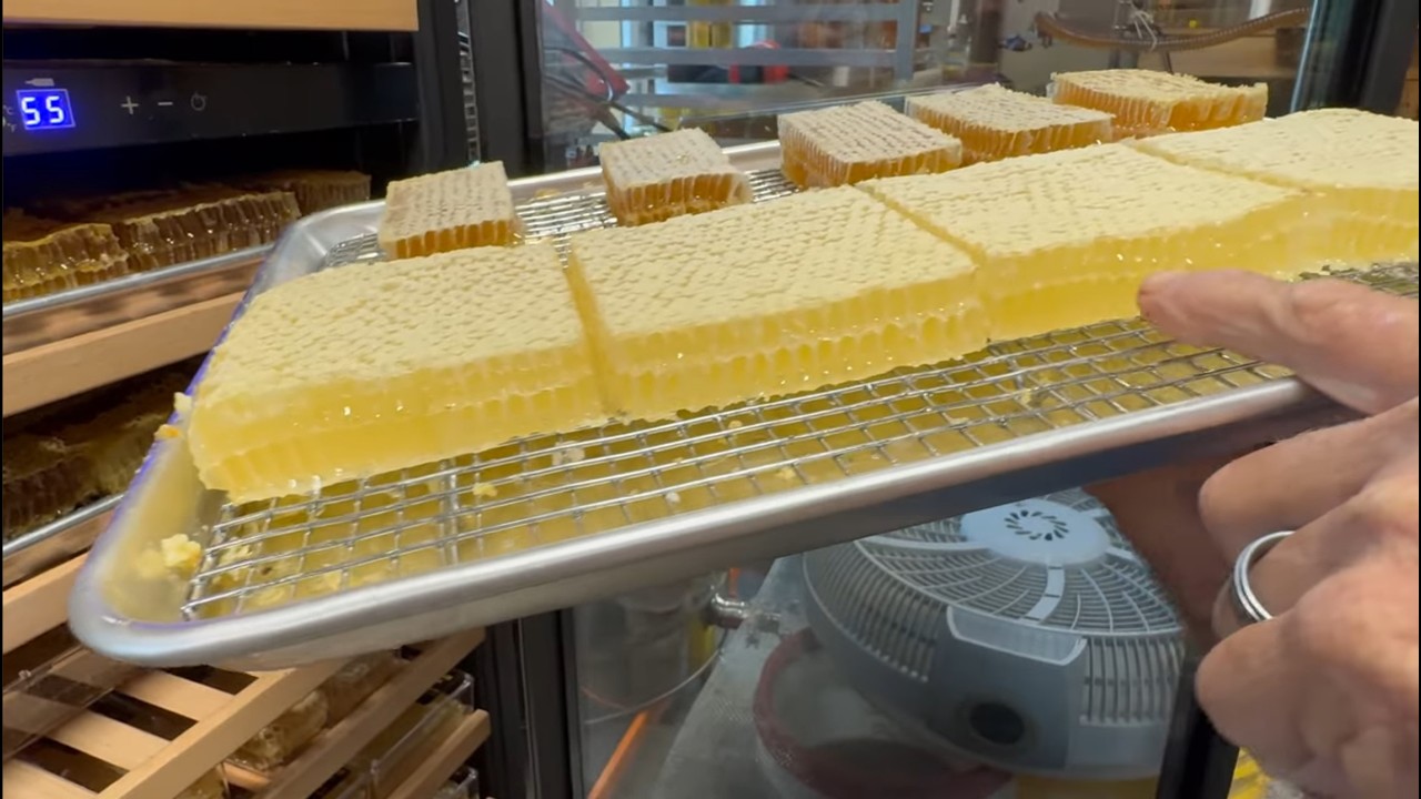 How To Harvest Cut Comb