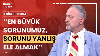 4 milyon sokak köpeği sahiplenilir mi? Prof. Dr. Ümit Kocasakal yorumladı