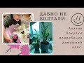 Я вернулась/ Болтаем/ Апатия / Чилим дома / Мамин День Рождение