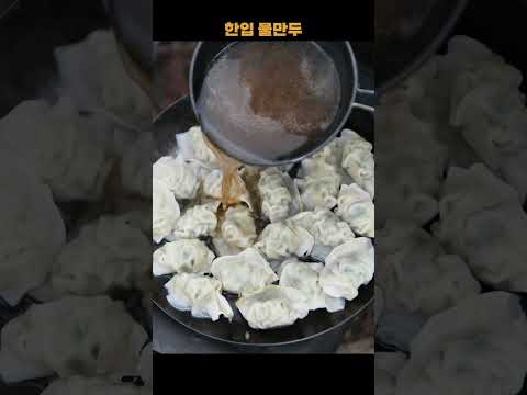 한입 물만두하군 / 물만두 / 캠핑한끼 #물만두 #<strong>만두요리</strong> #만두
