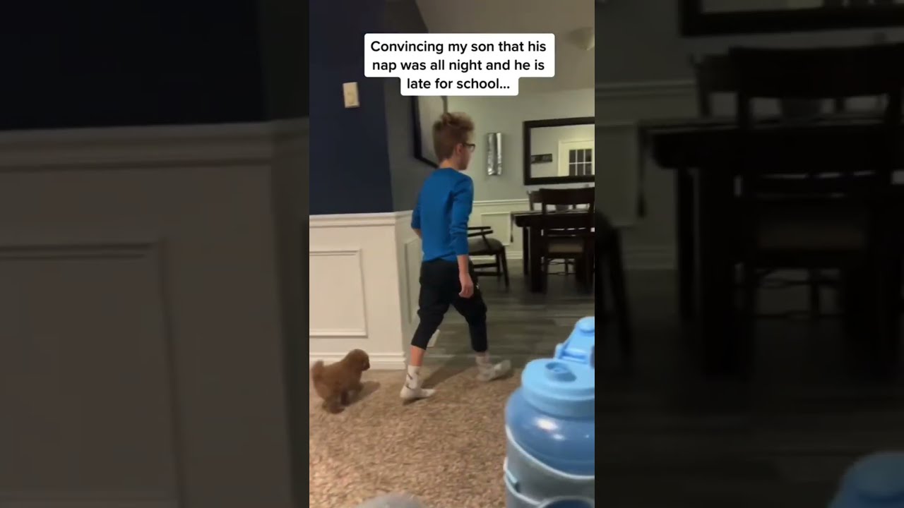 The Best Prank That Parents Have Ever Pulled On Their Kid 