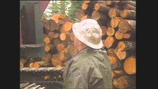 The Logger