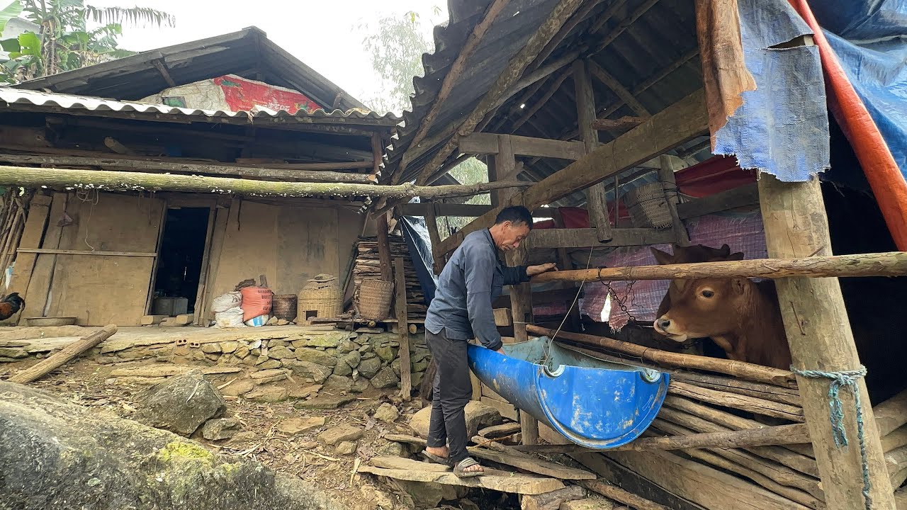 В суровые зимние дни дядя Чо и семь супергероев бродили в одиночестве по своему маленькому дому.