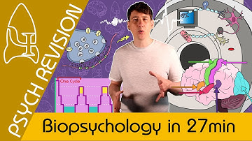 Biopsychologie - AQA Psychologie in 27 minuten! *NIEUW* Snelle herhaling voor paper 2