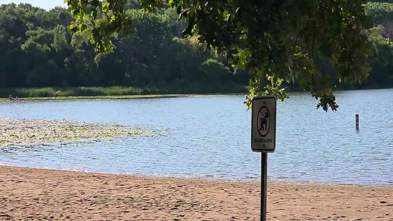 Beautiful Fish Lake In Maple Grove MN