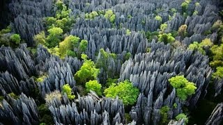 Le 10 Foreste più belle del Mondo
