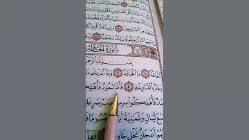 تلاوة هذئة الشيخ علاء عقل