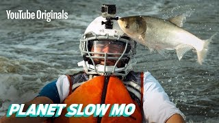 Flying Fish to the Face in Slow Motion