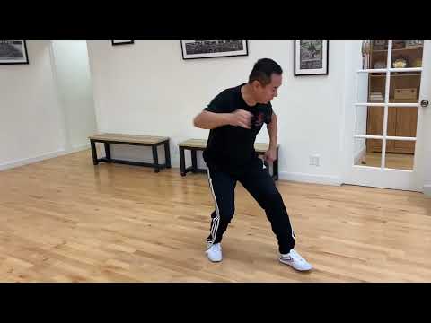 Wu Style Tai Chi Quan