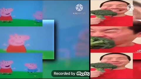 37 Shuric Scans With Are Slides