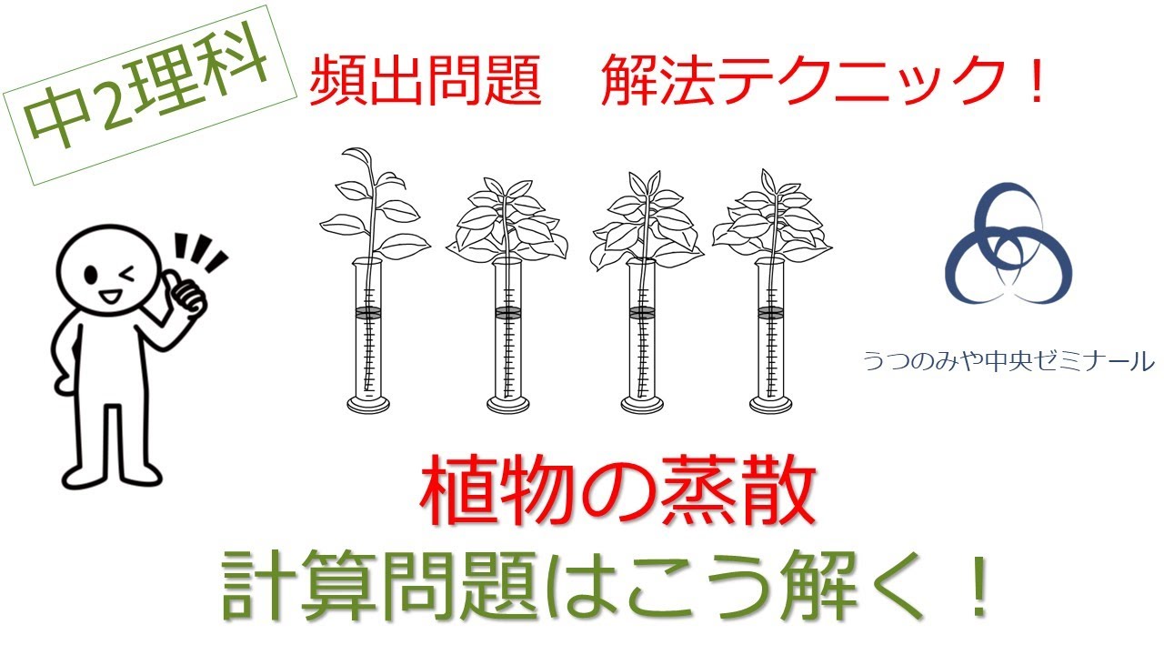 葉の蒸散量の計算問題はこう解く！