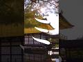 Why letter ミ mi looks like kanji 三? Origin of the Japanese letter ミ "mi" from the katakana alphabet!