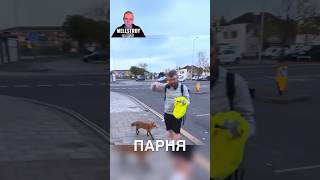 Очень дружелюбный лис 😂 #истории #история #новости #новость #shorts