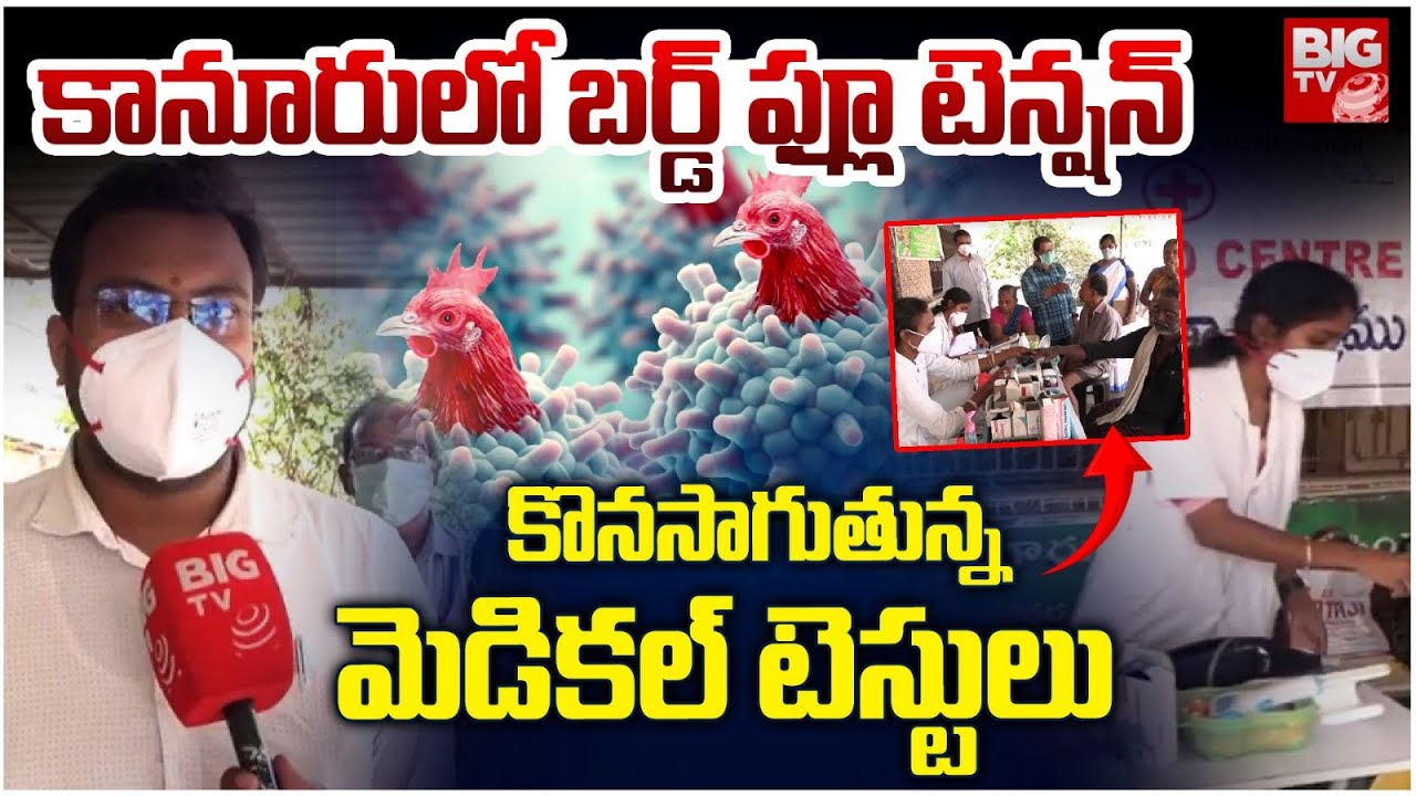 కానూరు లో బర్డ్ ఫ్లూ టెన్షన్ | Bird Flu in Kanuru | East Godavari Bird Flu | BIGTV