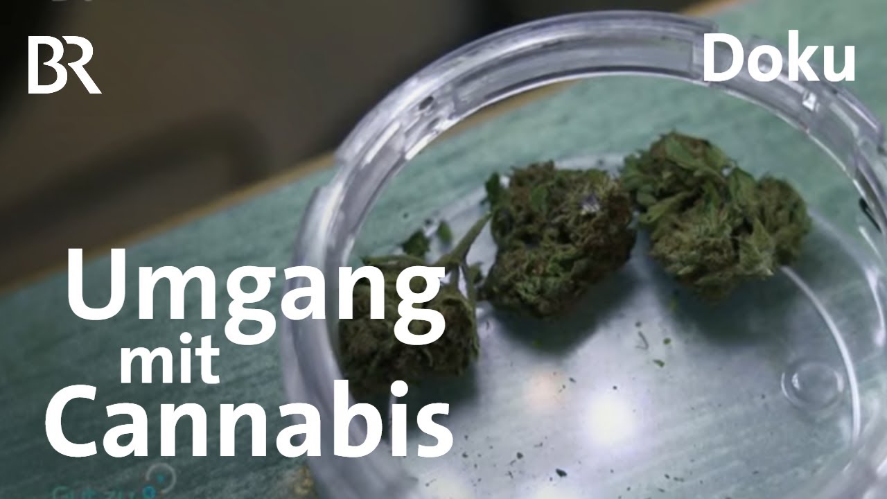 Gesundheit und Prävention: Cannabis-Konsum nach der Teil-Legalisierung | Doku | BR