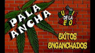 PALA ANCHA - Exitos Enganchados