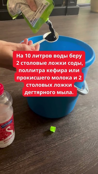 Мощное Народное Средство от Тли и Мучнистой Росы, Которое 100% Работает ...
