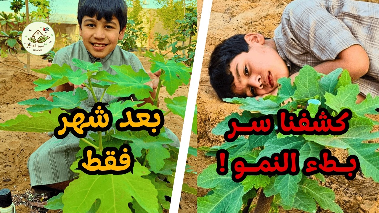 طريقة خلط التربة للزراعة | شرح عملي وتجربة عائلية | Perfect Soil Mix