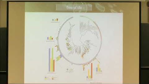 Julia Vorholt | Plenary Lecture 9: Structure and functions of the bacterial phyllosphere microbiota