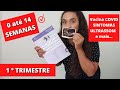 Diário de gravidez 1º trimestre - Sintomas, Vacina Covid 19 | Consulta Pre Natal |