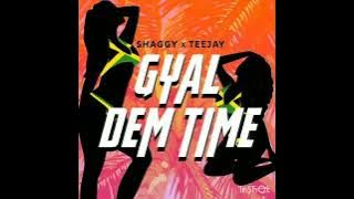 Teejay ft Shaggy - Gyal Dem Time