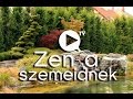 Zen nyugalom, modern funkcionalitás - Tuba Péter csodálatos kertjei II. / Kert TV