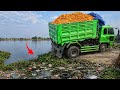 Amazing First Opening New Landfill By Skill Dozer Pushing! 5-Ton Dump Truck Working on New Project