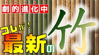 今、竹垣が超リアルに、劇的進化を遂げている