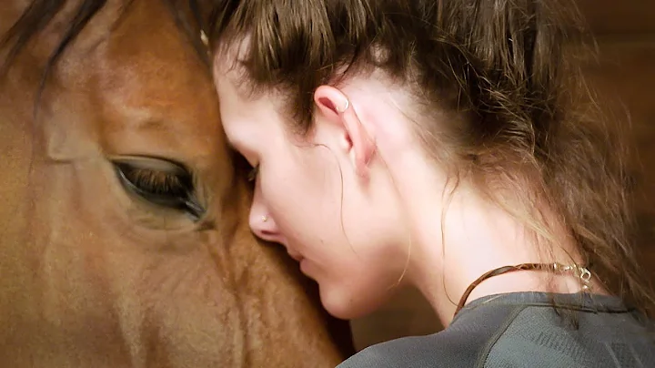 The 24 Behaviors of the Ridden Horse in Pain: Shif...