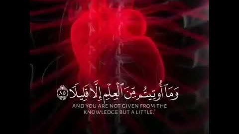 مقطع قصير من سورة الإسراء《ويسئلونك عن الروح》