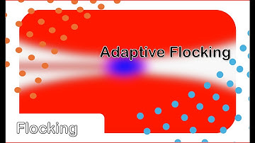 adaptive flocking video1