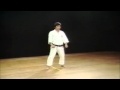 10 kata bassai sho shotokan karate hirokazu kanazawa