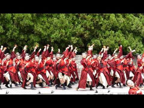 大江戸ソーラン祭り2016　疾風乱舞