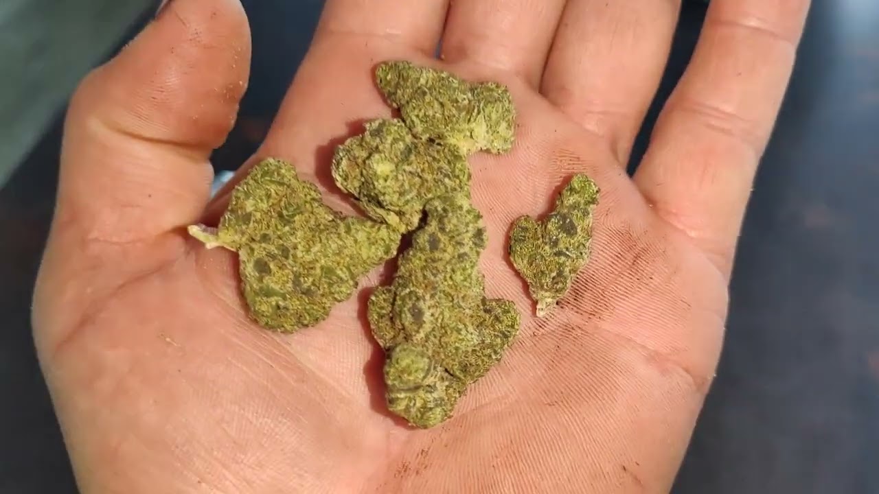 Lot 420 orange cake uk medical