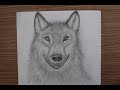 Draw A Wolf In Pencil Step By Step رسم ذئب بالرصاص خطوه بخطوه Easy Drawing 