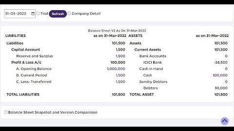 How to Manage Opening Balance & Profit Transfer in Jainam Software | Balance Sheet Snapshot Tutorial