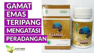 HIU GAMAT GOLD Obat Herbal Mengatasi Radang Pencernaan Maag Akut Herbal Indo Utama Isi 60 Kapsul