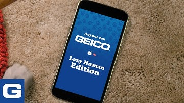 Lazy Human: Anyone can GEICO