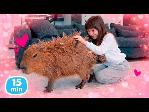 El capibara juega en el tobogán