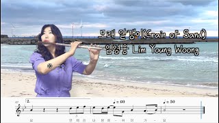 모래 알갱이 (플룻솔로/가사첨부) - 임영웅