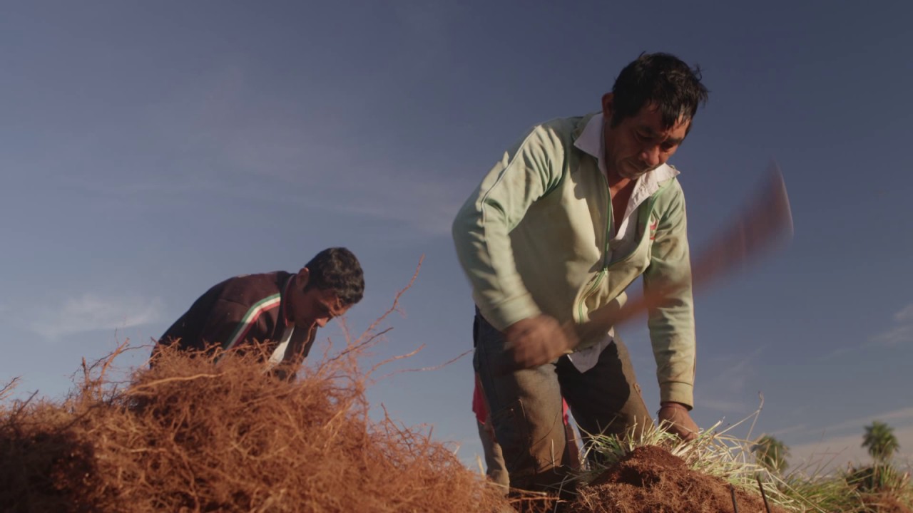 ALPACASA hd DOCUMENTAL ESPAÑOL