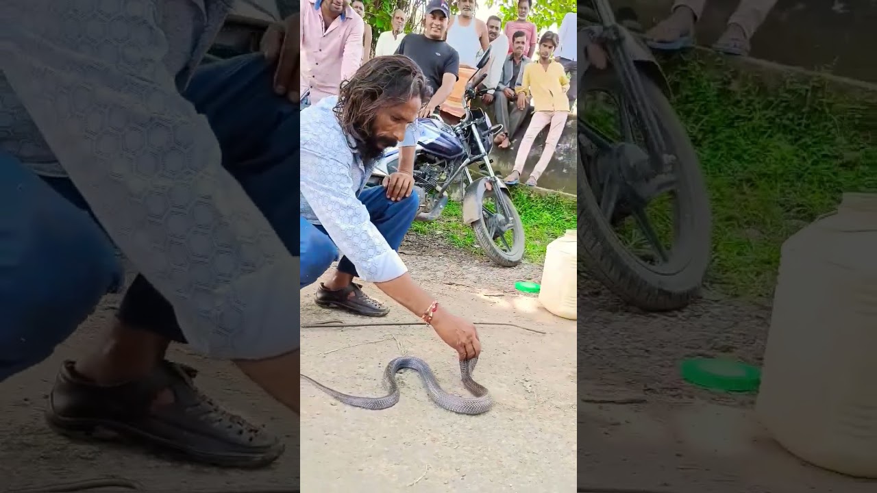 🔥🐍🙏.........