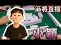 台灣麻將24小時直播🏮皇家柳丁麻將日常精彩不間斷