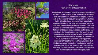 Kindness  Poem by: Paula McGee the Poet