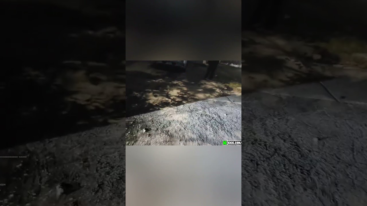 cheesur gets egged on stream!!  