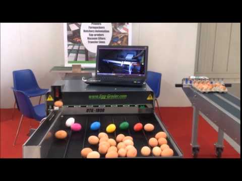 Egg grader with egg coding inkpad stamping
