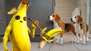 🍌💜FORTNITE Vs Funny Dogs in REAL LIFE ANIMATION💜🍌